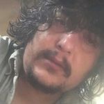 مشاور املاک شاهان