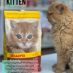 کلینیک دامپزشکی لیون