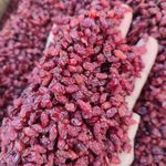 پخش زرشک ارغوان