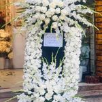 گل فروشی شیراز