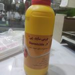 پرنده سرای مرتضی