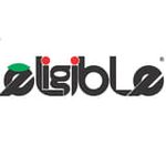 لنت ترمز دیسک ترمز خودرو داخلی خارجی علی