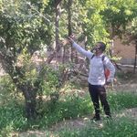 شرکت سمپاشی شیمی گستر