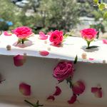 شیرینی وکیک زرکیک