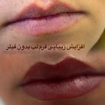 آرایش دائم و اصلاح رنگ (بانوان و آقایان) رزگلد - نگار نکوکار