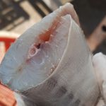 ماهی فروشی جلالی