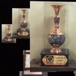 گروه تخصصی همای سعادت بیمه پاسارگاد ،پول