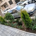خدمات باغبانی هرسکاری گلکاری