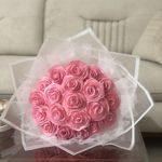 گل روبانی دریا