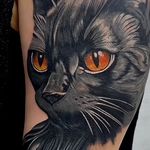 تتوبدن پیکاسو