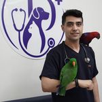 کلینیک دامپزشکی پونک پلاس
