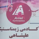 آکادمی ژیمناستیک علیشاهی