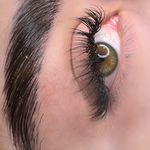 خدمات مژه ماهی مون