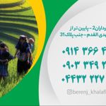 فروشگاه چای برنج خلف خانی