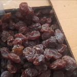 پخش کشمش مویز شیراز