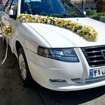 مجموعه گل اطلسی و قصر ماهی