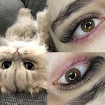 اکستنشن مژه و اموزش مژه محنا