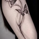 سالن زیبایی و میکرو تخصصی جوانه جلالی