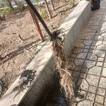 لوله بازکنی عظیمیه