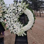 گل فروشی دنیز (آنلاین) -ارسال فوری