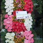 گل فروشی دنیز (آنلاین) -ارسال فوری