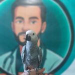کلینیک حیوانات خانگی دکتر زند در ملایر