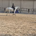 باشگاه سوارکاری