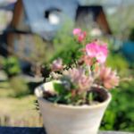 اجاره اقامتگاه ویلایی