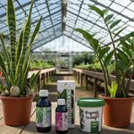 بیلچه طلا فروش کود خاک و لوازم گلخانه