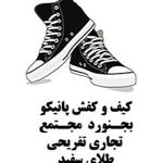 کیف و کفش پانیکو