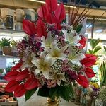 گل فروشی آندیا (شعبه یک)