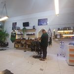 پیرایش اسامد