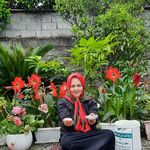 برنج فروشی samoun