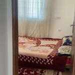 اقامتگاه سعید