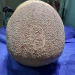 کلینیک پوست مو و زیبایی و کاشت مو باراد
