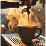 کافه فست فود مجید قلی پور