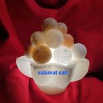 فروش انواع نمک های معدنی خوراکی و تز