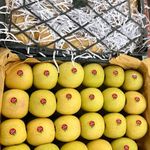 کشاورز و تامین کننده عمده میوه