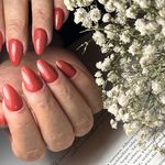 سالن زیبایی و آرایشگاه زنانه ملکه شادلی