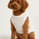 پت شاپ پانتی پت