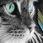 آموزشگاه نقاشی ناهید