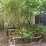 سوئیت آپارتمان حمیدنژاد
