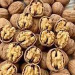 گردو طبیعی تبریز