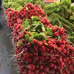 سبزی فروشی مهدی عرب