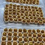 آشکده آبودان