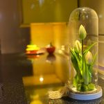 کابینت بلاچوب