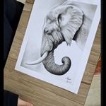 آموزشگاه نقاشی آفرینش