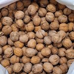 خشکبار