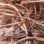 فروش آنتیموان ، قلع ، مس ، نیکل و سرب