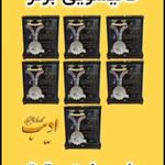 کارخانه قالیشویی ادیب شعبه گیلان